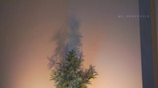 Ms_seductive bad girl 2022-07-17