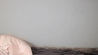 leo_kitty 53