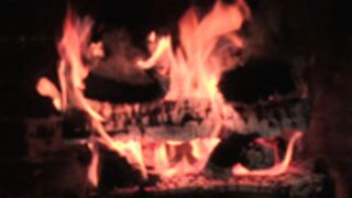 Malena Morgan and Lily Love cum squat