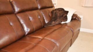 Redrosebb Bbc Creampie