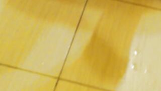 Honey Mary in silk top with squirt sex in bathroom