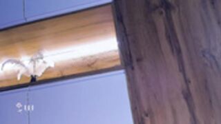 RGO_disposable_Kate rock solid milckers