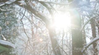 Tribute to Ukraine by hegre 4K