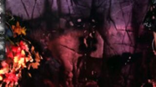 610Stella 20230608（1）