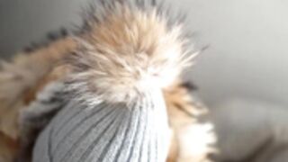 fur hood down jacket 250