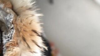 fur hood down jacket 250