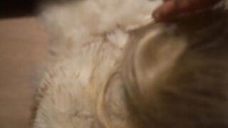 fur coat 137
