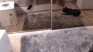 Beatrice__ free cam recording 2015 July 24_09-23