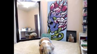 HARLI'S FULL CUMSHOW AFTER 11 DAYS WITHOUT CUMMING