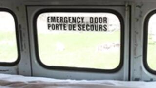 busbuddies 29