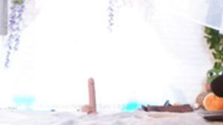 mollyflwers 2023-05-26 part 3