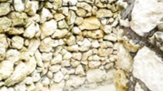 Vina Sky - Blowjob ( Unexpected Throatpie)