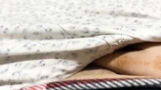 Humsafar13 (41) pussy fingering in pants