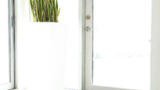 Renee - Netvideo girl