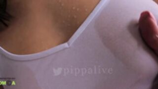 Pippalee - wet shirt