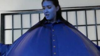 blueberry inflation 43