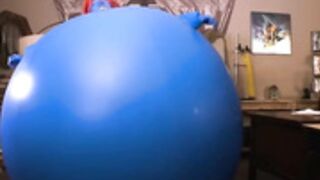 blueberry inflation 11