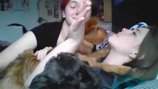 kittengrl