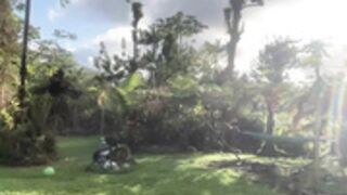 kaileeshy 2023-06-21 05_37