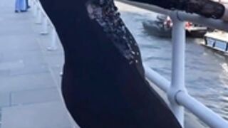 Punjabi kudi 5
