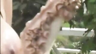 Nasty slut Trina takes on black cocks