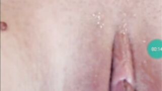 Puma pussy close up