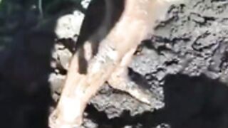 3 Girls Having A Mud Fight