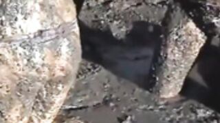 3 Girls Having A Mud Fight