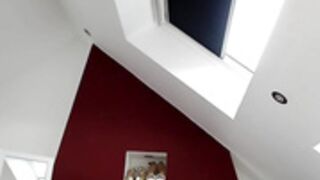 FoxyFrenchy 55
