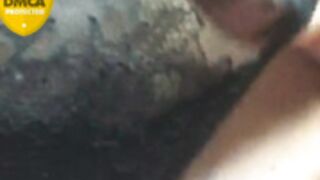 NIKA_ 2