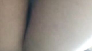 latina 421