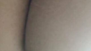 latina 421