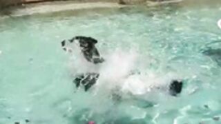 ЬĻōņԀ϶_ɍÏԀ϶ɍӿӿӿ ōᶂ 25