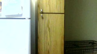 hardyhaarhar cam4 camfuze