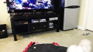 Brandi Belle dildo oil session