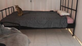 _annieone 2023_07_17 - 2