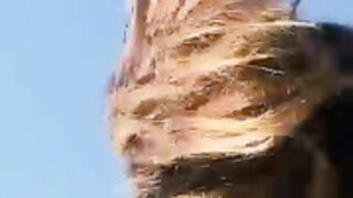 Guliana / Sofichilena / Gianinaaporn / Julisexyxxx 57