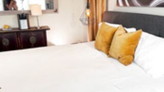 Andi Rose, Johnny Sins