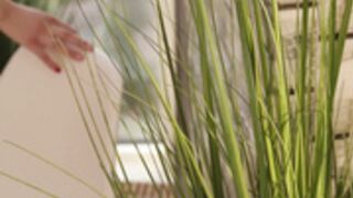 Anna Vlasova Miss Me