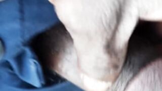 I give a blowjob and fuck my friend's black cock