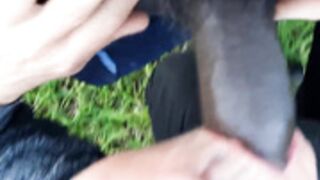 I give a blowjob and fuck my friend's black cock