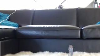 shysub0413.2014.07.01