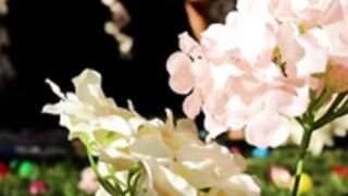 ɱ@ԀÏ$$ōņ Ïʌϒ ōᶂ 95