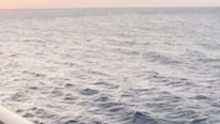 Summerbrookes cruise sex