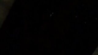 Swedish Novaforyou 14