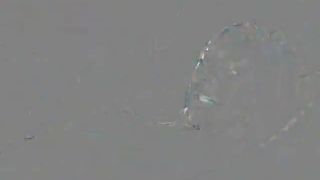 xovalentina shower video