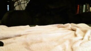 luna_grey 2014-04-07