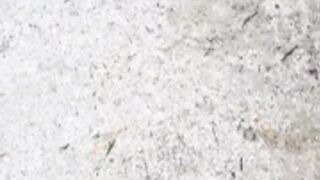 bunny_vic and friend 4