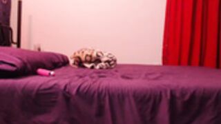 Jade_Starr_2023-08-29 1080p