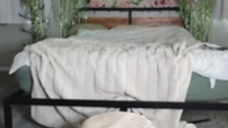 tease4lisa_MyFreeCams_2023-09-02_18-25-45